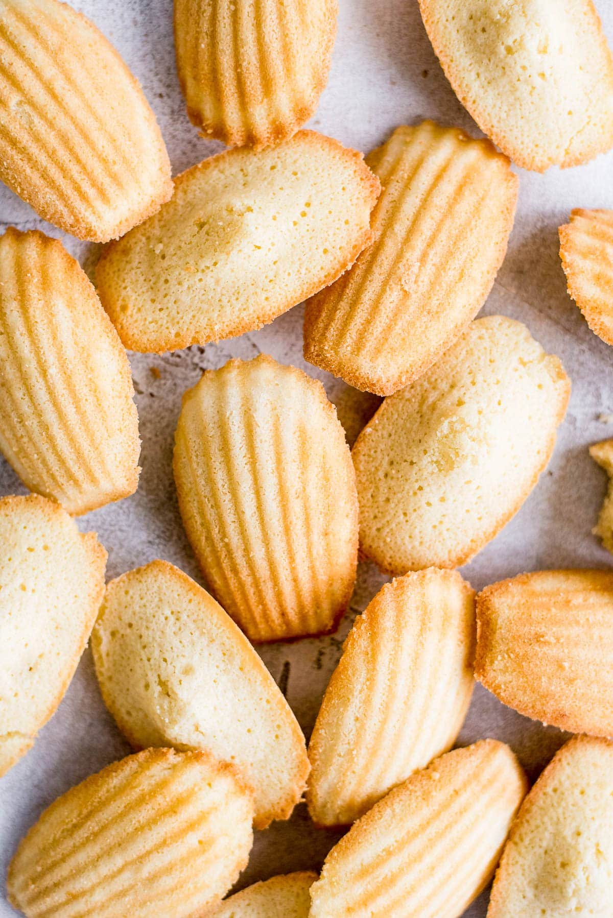 French Madeleines — baked with Chef Axl